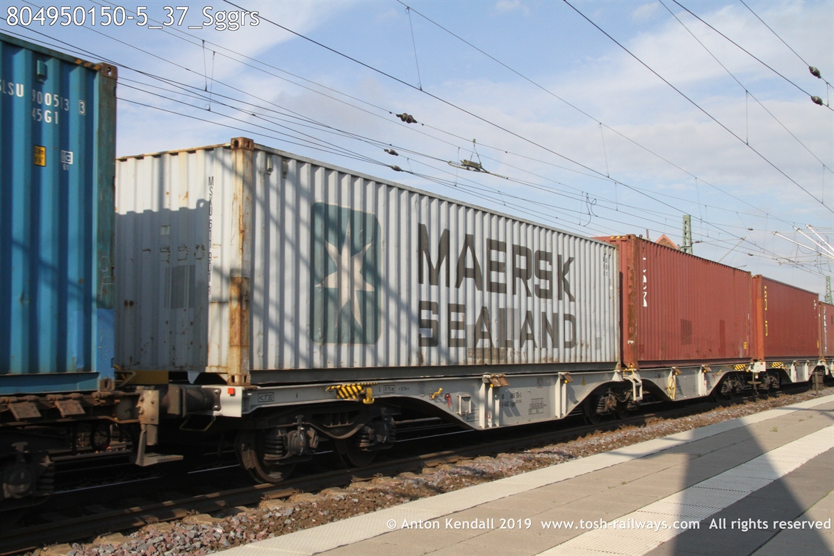 804950150-5_37_Sggrs.JPG